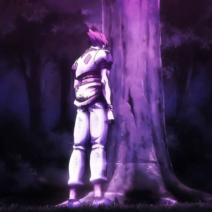 Hisoka Morow — Image 14